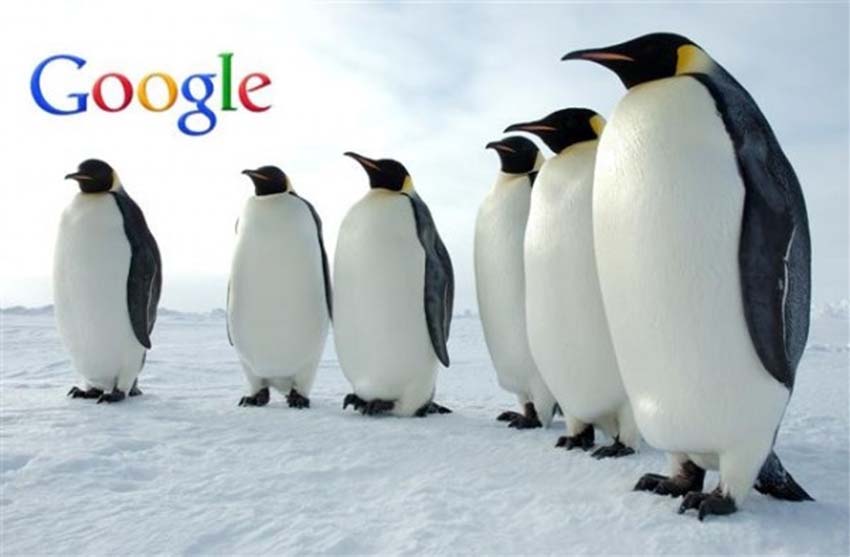 Cómo afecta Google Penguin al posicionamiento web